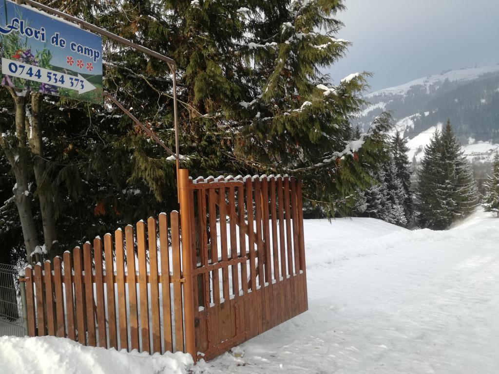 Pensiunea Flori De Camp Vatra Dornei Exterior photo